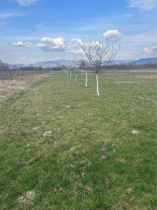 casa de vanzare in loc.Negresti Oas ,Tur,aproape de complexul Grig Dan.