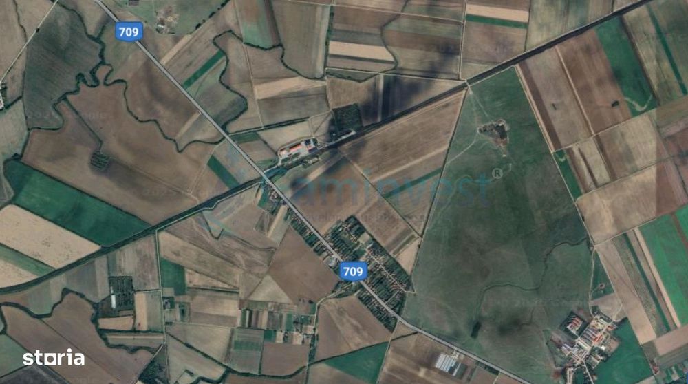 Teren extravilan de vanzare, 85.400 mp, Bors, Bihor, Gaminvest, V4739