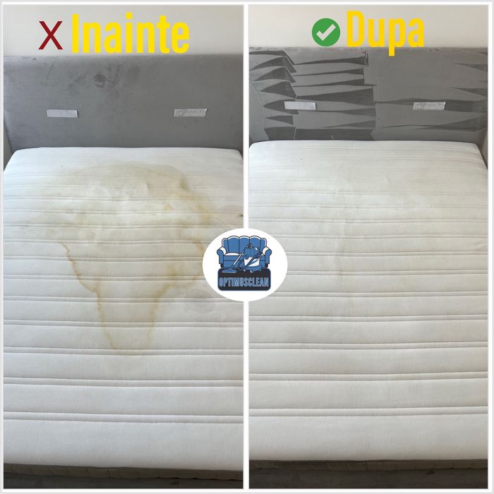 Curatare - spalare - igienizare aburi canapele,saltele,mocheta,auto