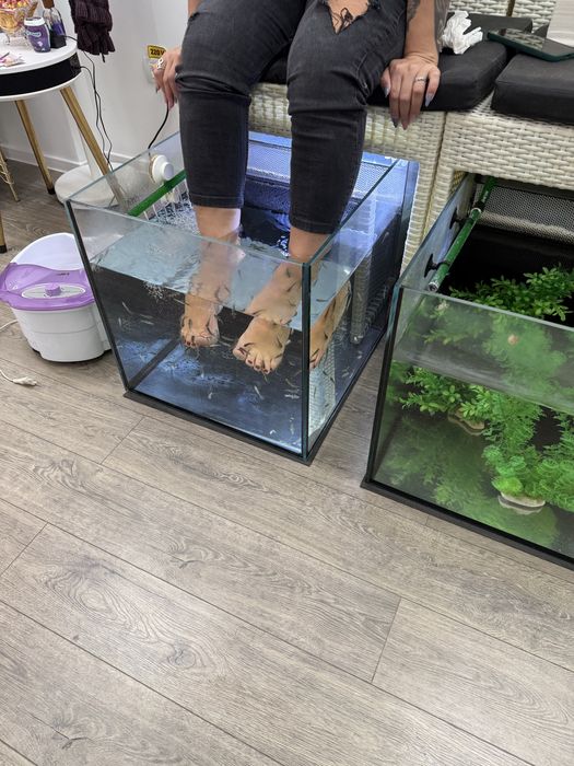Terapie de relaxare Fish Spa
