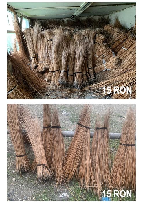 cosuri rachita Suraia IVACOM SERV SRL