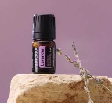 етерично масло лавандула дотера 5 мл - doterra lavender 5 ml essential oil