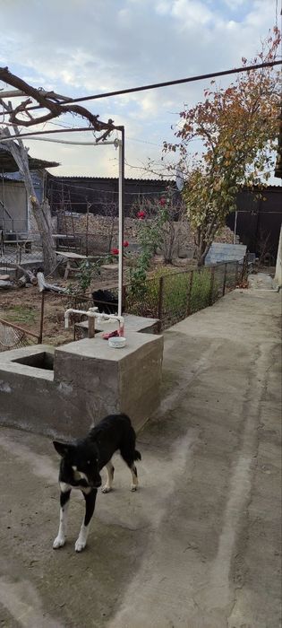 Продаётся  свой дом