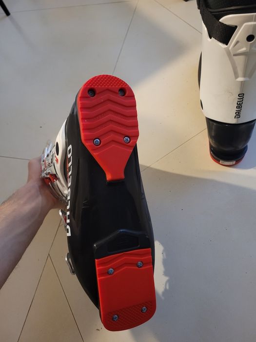 Clapari Dalbello unisex