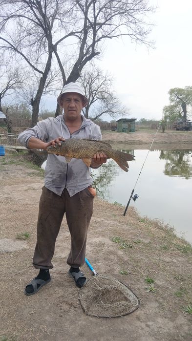 Продам землю 1.1 гектар