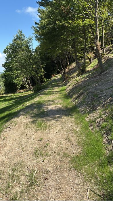 Vind teren ,la pretul cel mai bun oferit  front 30-40m-Evadeaza in Faget  la soare si in mijlocul naturii cu o frumoasa panorama