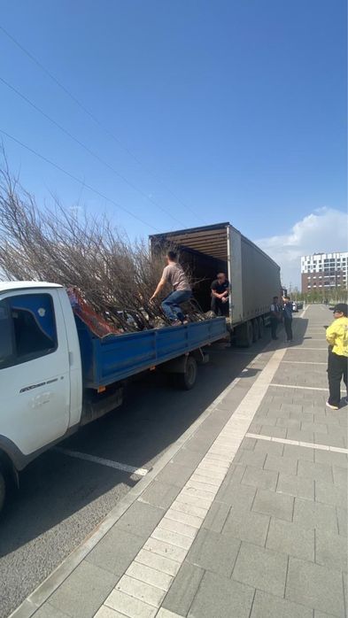 Вывоз мусора хлама строительного мусора