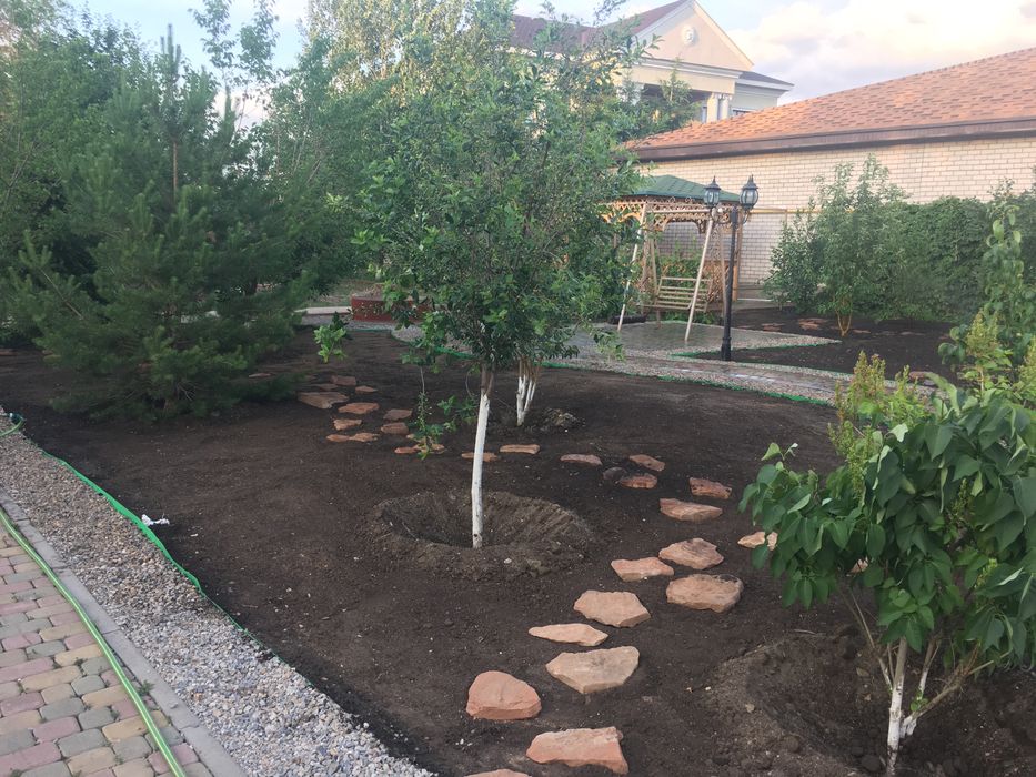 Благоустройство, озеленение участков , газон