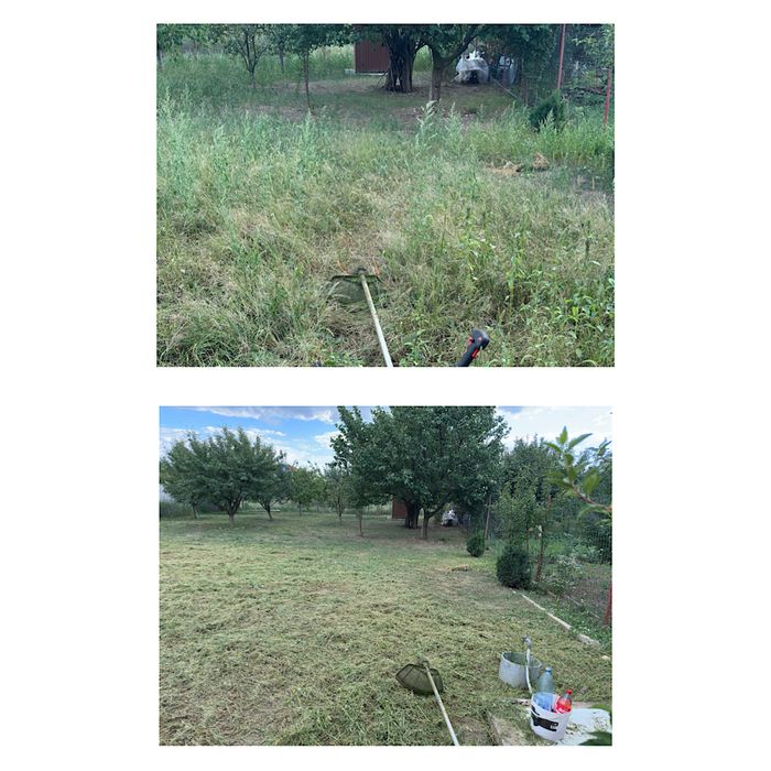 Tuns gazon și scarificări – Întreținere grădini (Persoană fizică)