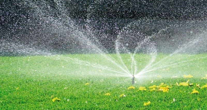 Автополив hunter