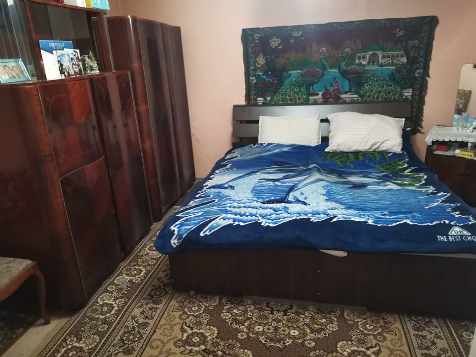 Casa cu grădină  pe 2000 mp în SEBES