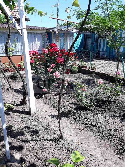 Продава се Къща в с. Змеево, Област Добрич - 109 кв.м за 358 €/кв.м - Снимка #12