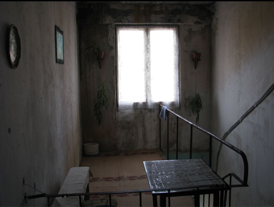 Vand 2 apartamente PE INSULA la Ostrovu Mare com. Gogosu (portile de fier 2)