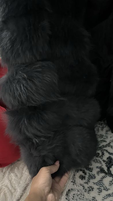 Шубы на гарантия