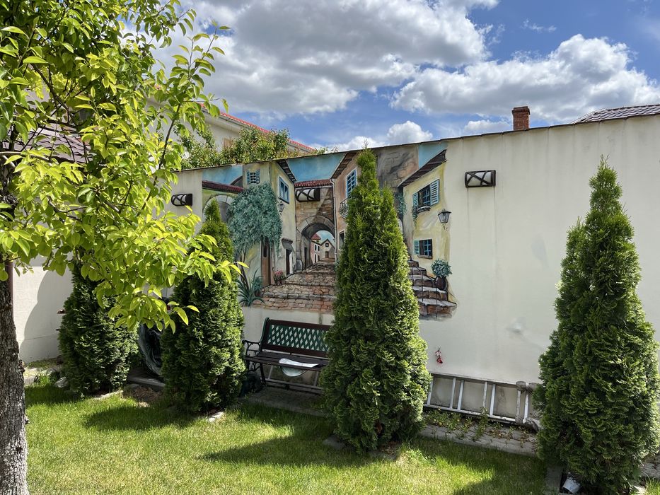 Proprietar vand casa deosebita centrul Craiovei