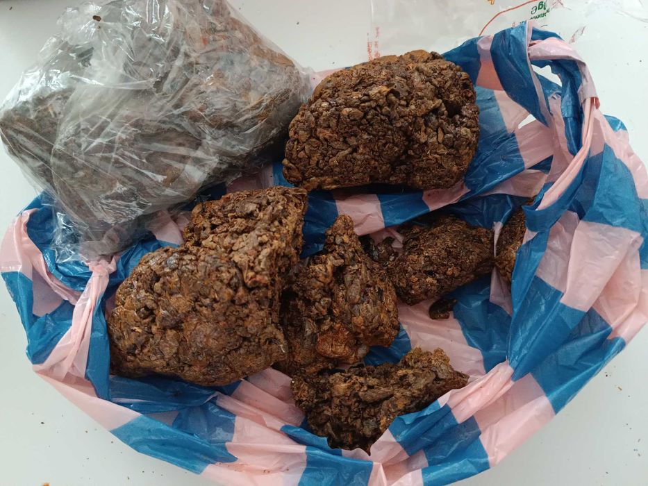 Пчелен прополис, клей