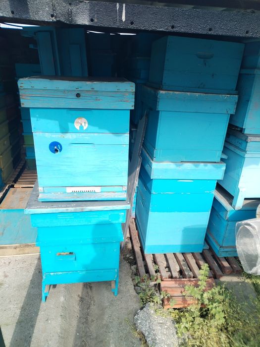 Пчелни кошери 10 и 12 рамкови използвани