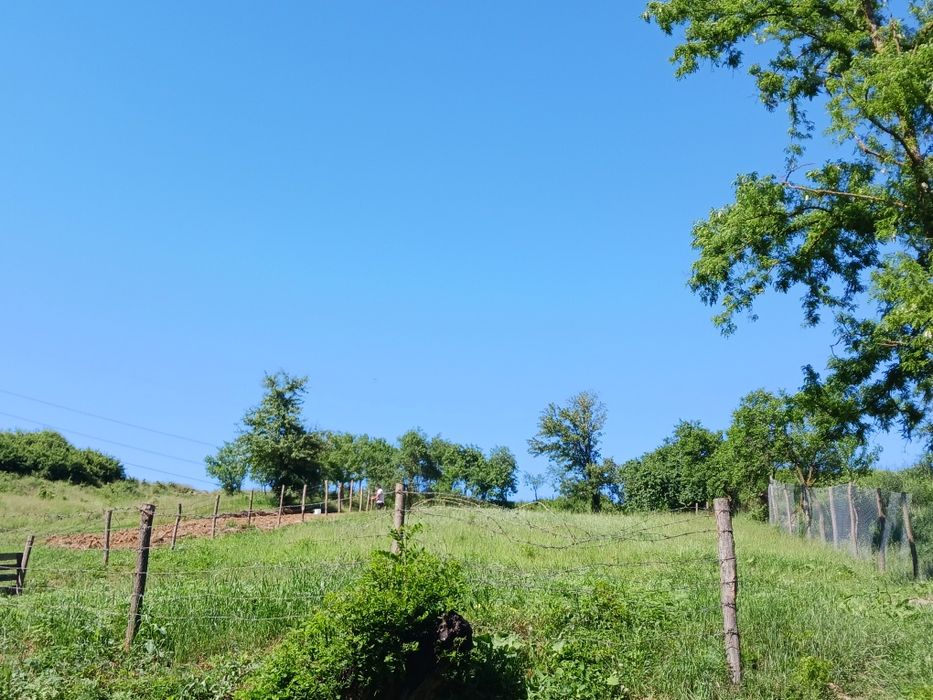 Gradina de vanzare