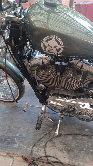Harley davidson softail