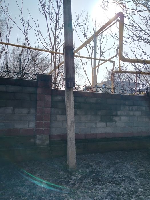 Отдам бесплатно!