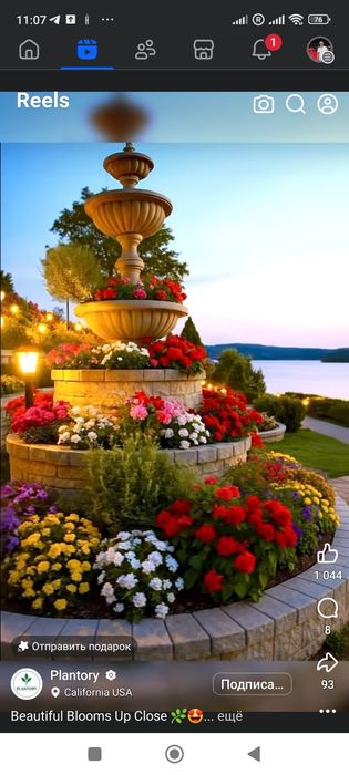 Ландшафт хизматлари мавжуд.