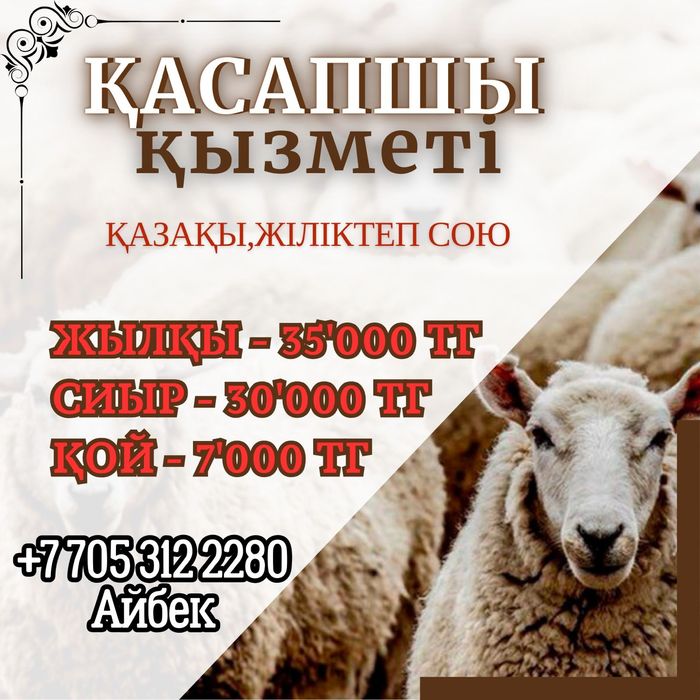 Қасапшы мал соямын