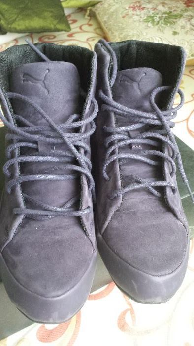 Кецове Пума / Puma