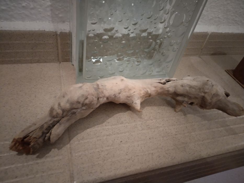 Сух корен за терариум от Малта