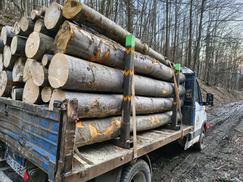 Lemne de foc fag, carpen!