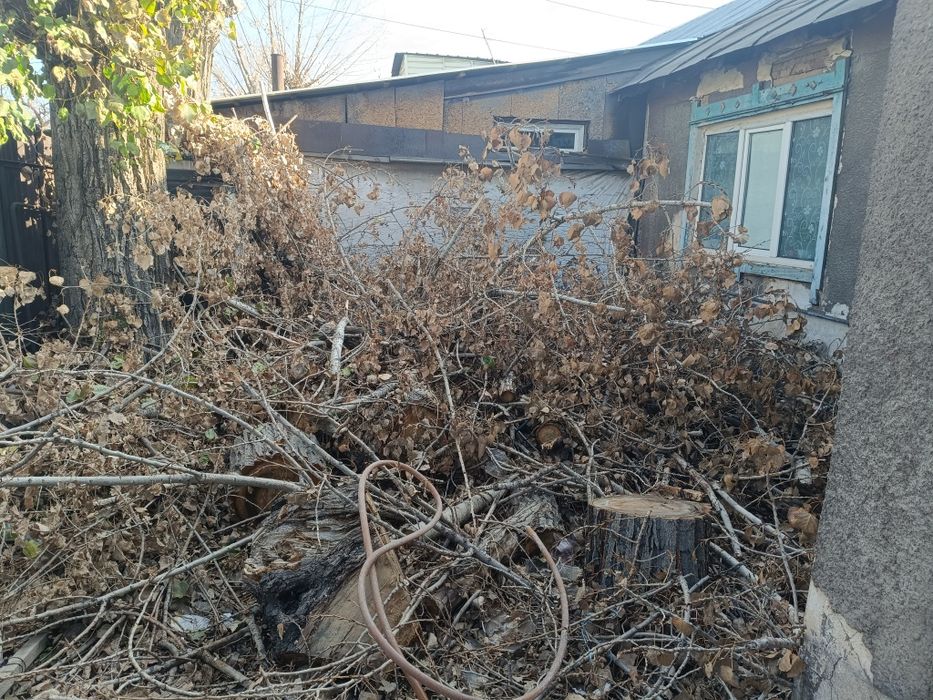 Отдам драва бесплатно