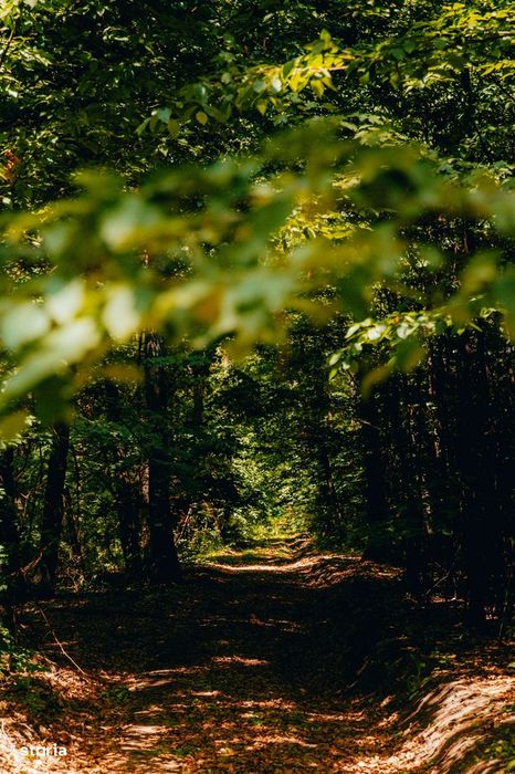 eForest - Loturi de casă lângă pădure - refugiu verde, cu acces rapid