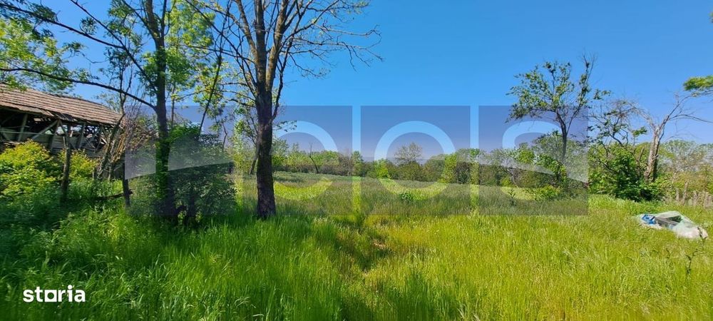 Casa Taraneasca | Teren 3000 Mp | Deschidere 52 M | Comuna Ciolanesti