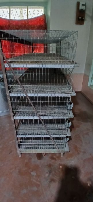 Bedana qafasi 250talik