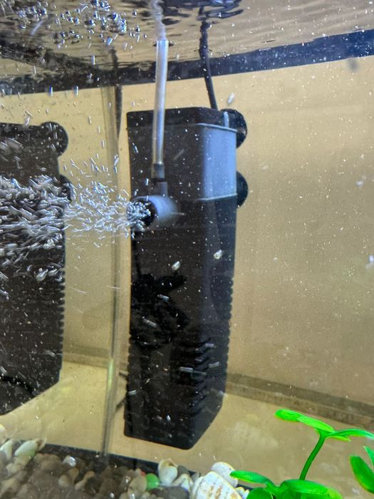 Аквариум и всё что в нём