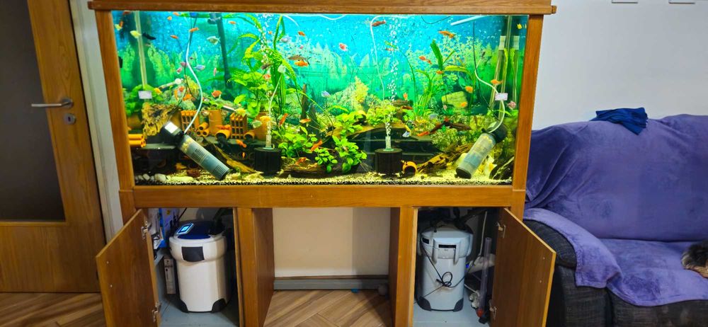 Аквариум 612л + филтри