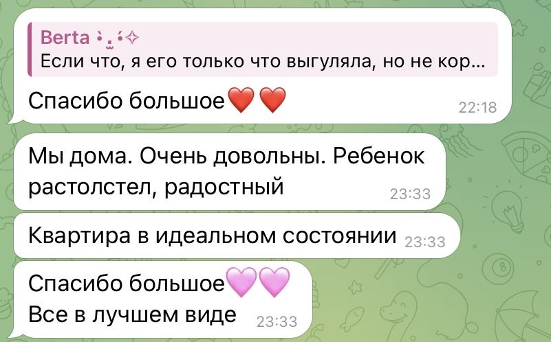 Pet sitter - VIP передержка - няня для животных на дому