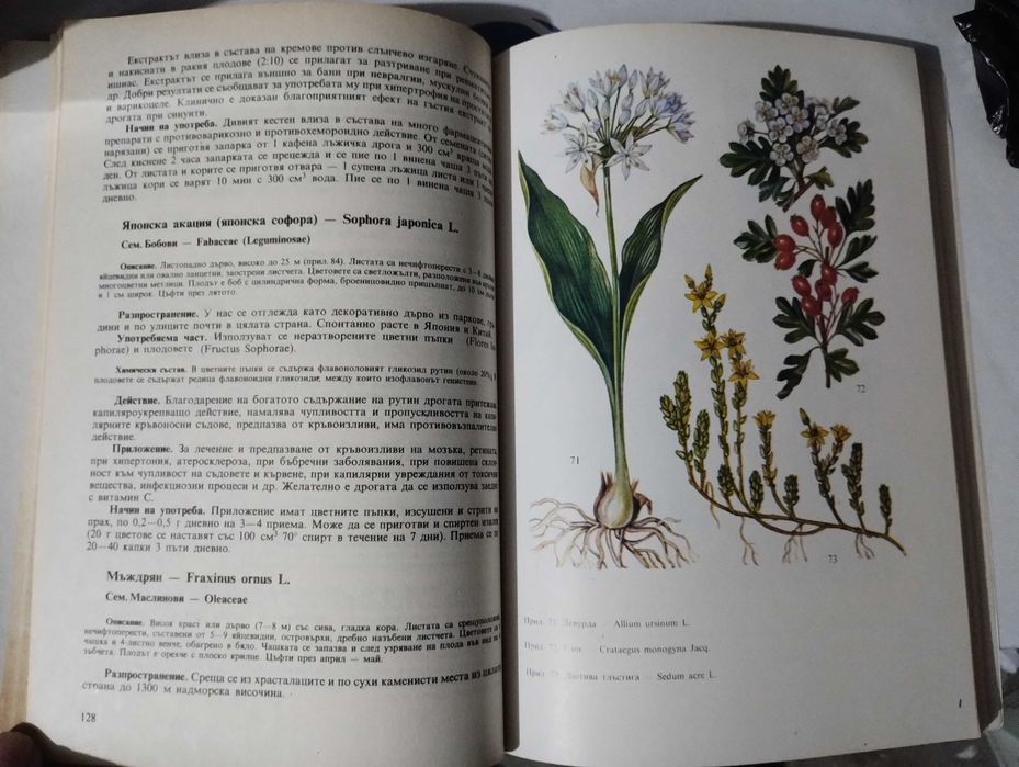 Книги - кухня , здравословно хранене,Кухнята на баба кн.1-10 /билки