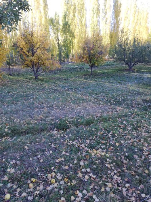 16 соттық жер сатылады