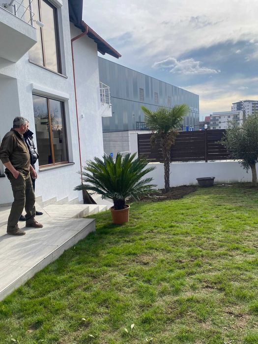 Plante Ornamentale Orice Dimensiune si Specie