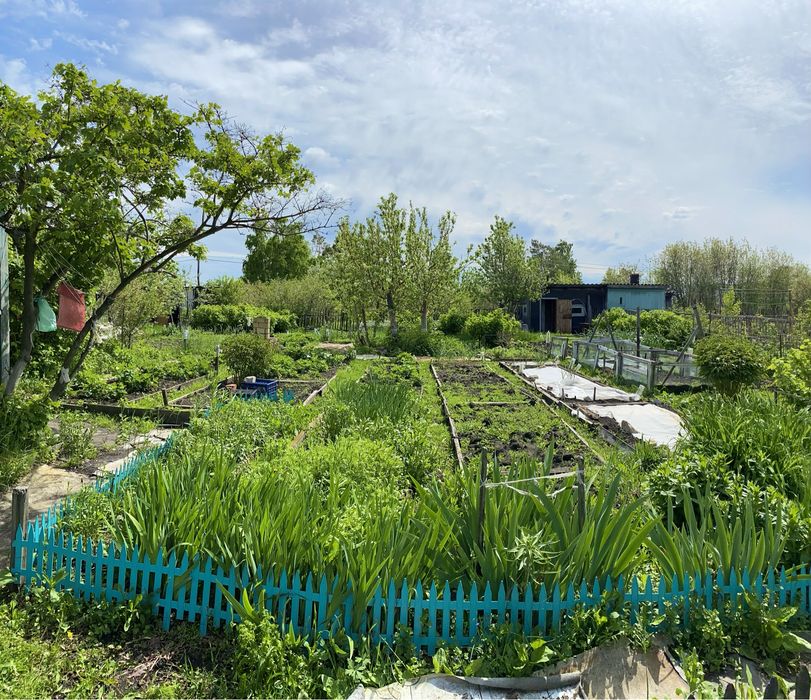 Дача в кооперативе Борки