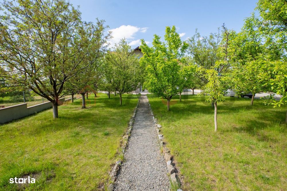 Casa de vânzare in Făget, 1000mp teren cu livadă și grădină!