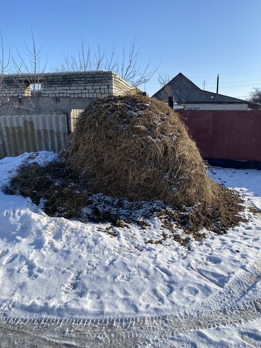 Навос бесплатно!!!