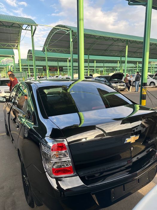 Cobalt 2025 mcm midnight