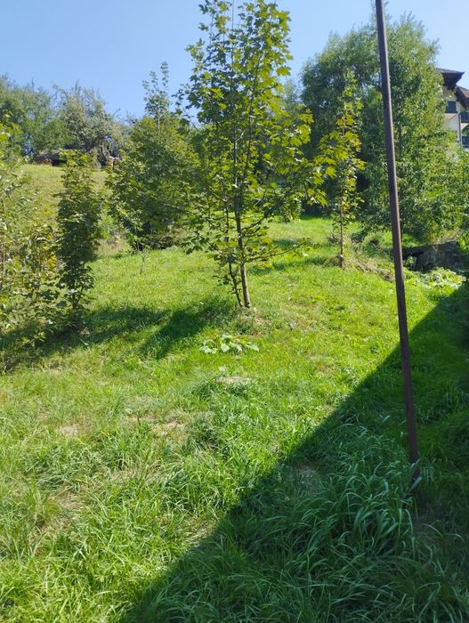 Ideal pentru investitie, pensiune, casa de vacanta