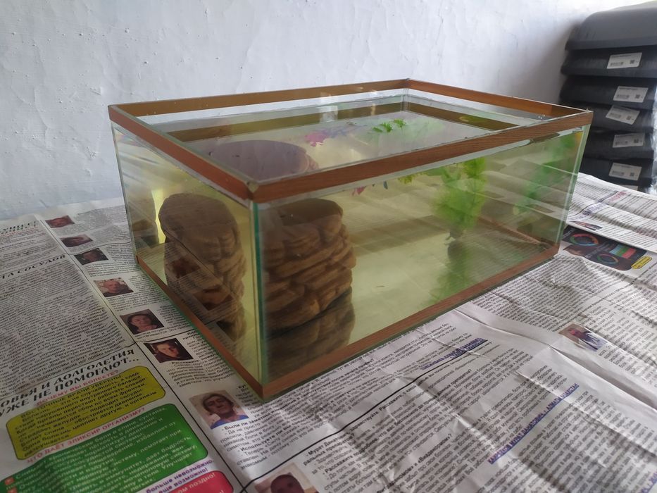 Аквариум для черепах. Бонусы.