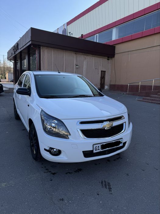 Cobalt 2025 midnight