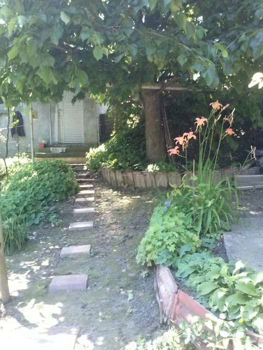 Овощна градина под наем. Свищов, кв. Рилите.