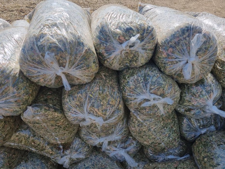 Makka silos sotiladi