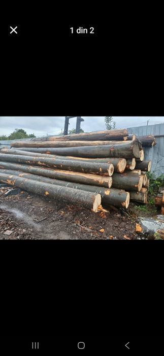 Vand lemn de foc fag detali in privat  taiate si crapate pe  dimesiuni