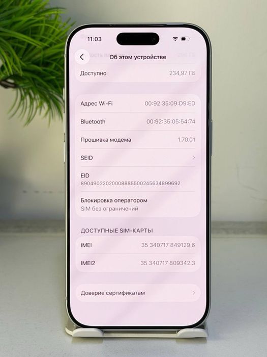 iPhone 17 Pro Max e-simm